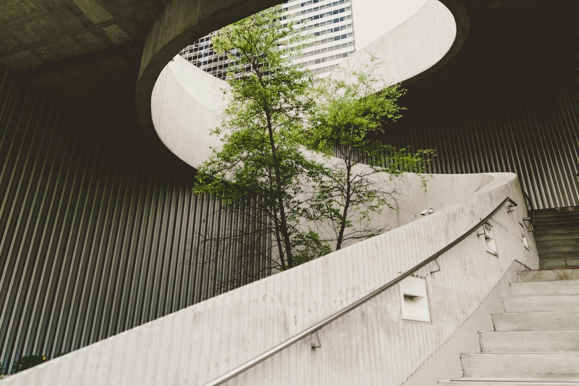 young tree sprouting in a concrete environment