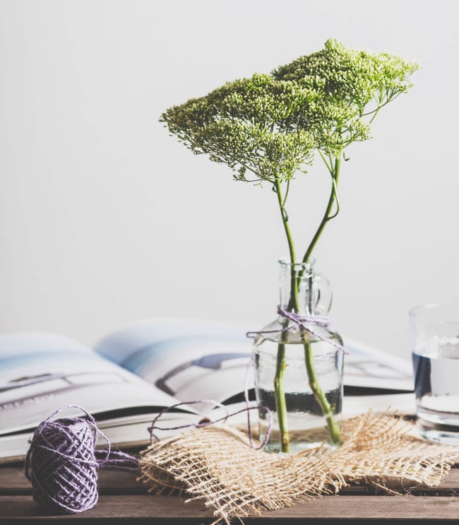 Tree-looking plants growing in a jar