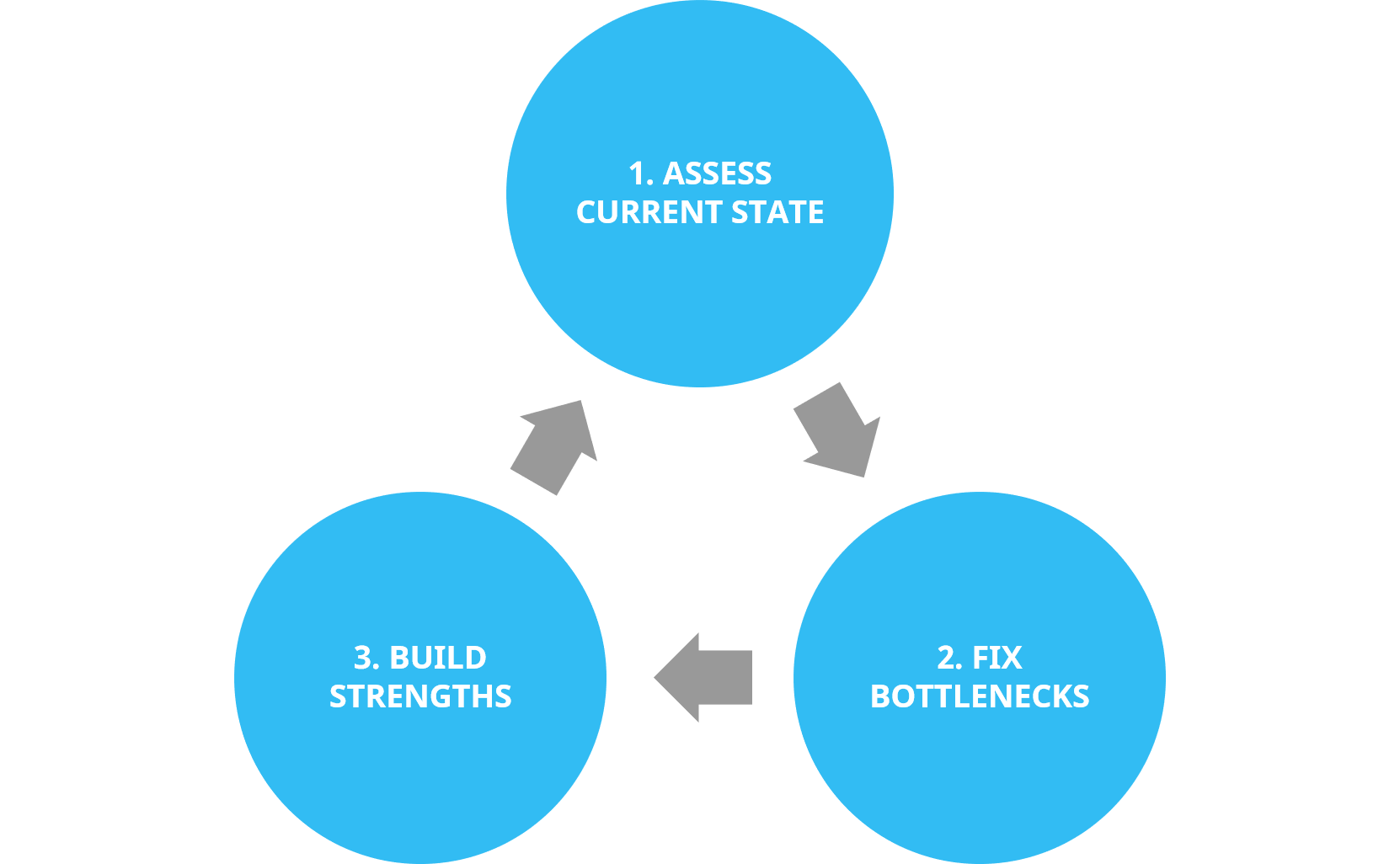 assess-fix-build-1