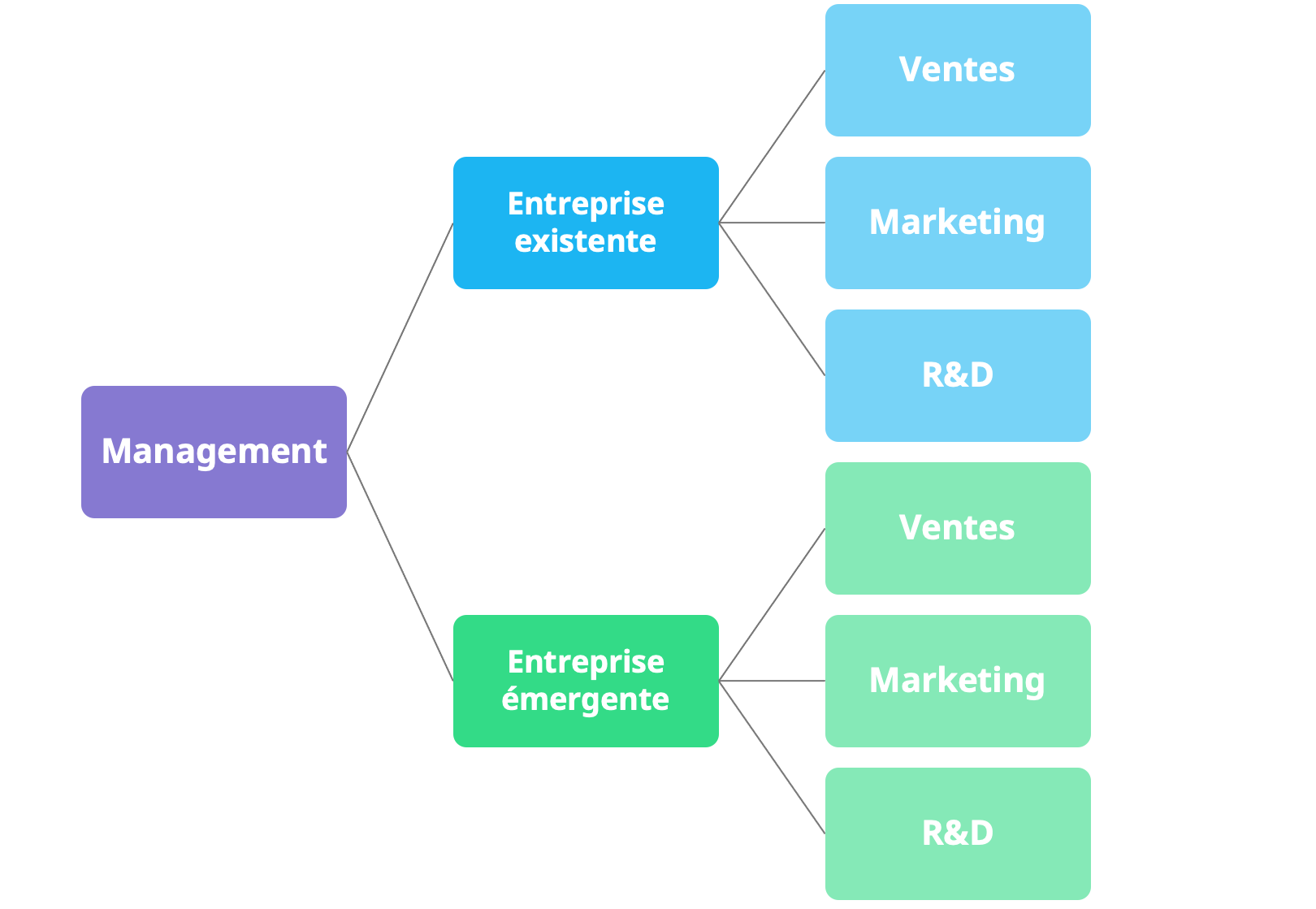 entreprise ambidextre