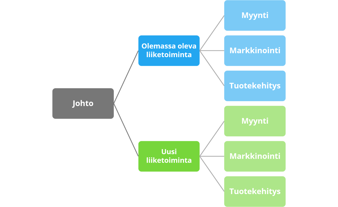 Kaksikätinen organisaatio