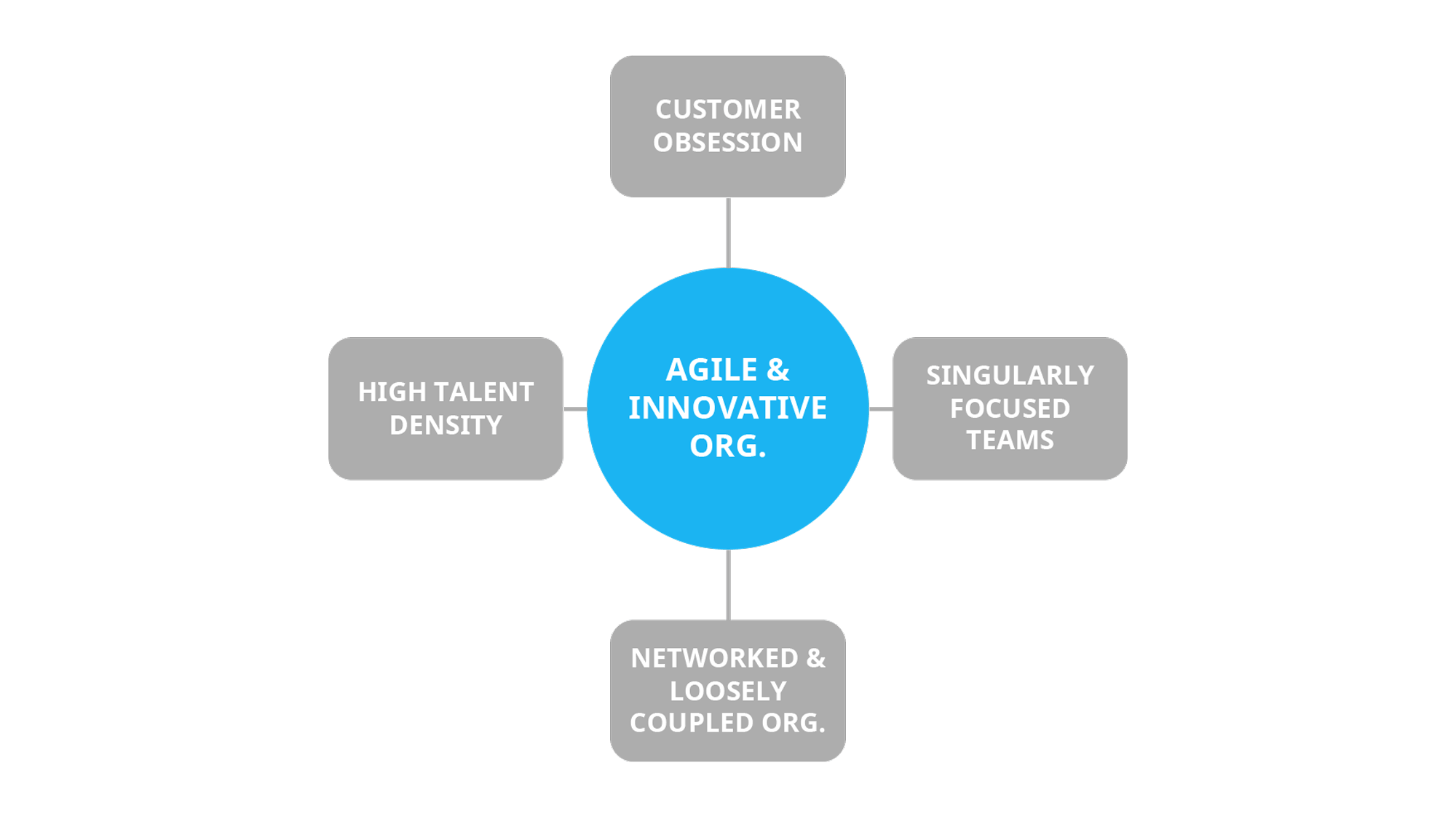 Key principles of  an agile and innovative organization