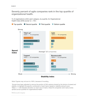 McKinsey Agility and Stability Helth org index