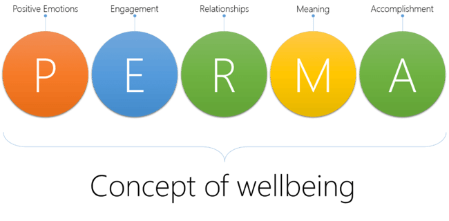 Psicología positiva: PERMA